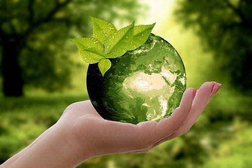 Natuur milieu groen via Pixabay