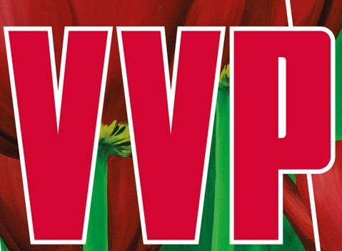 Logo VVP 2016