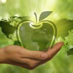 AnsvarIdéa: “Wat telt, is dat markt steeds meer beweegt naar duurzaamheid”