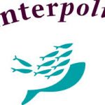 Interpolis geeft verbouwingspakket weg