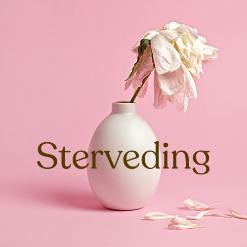 Sterveding logo